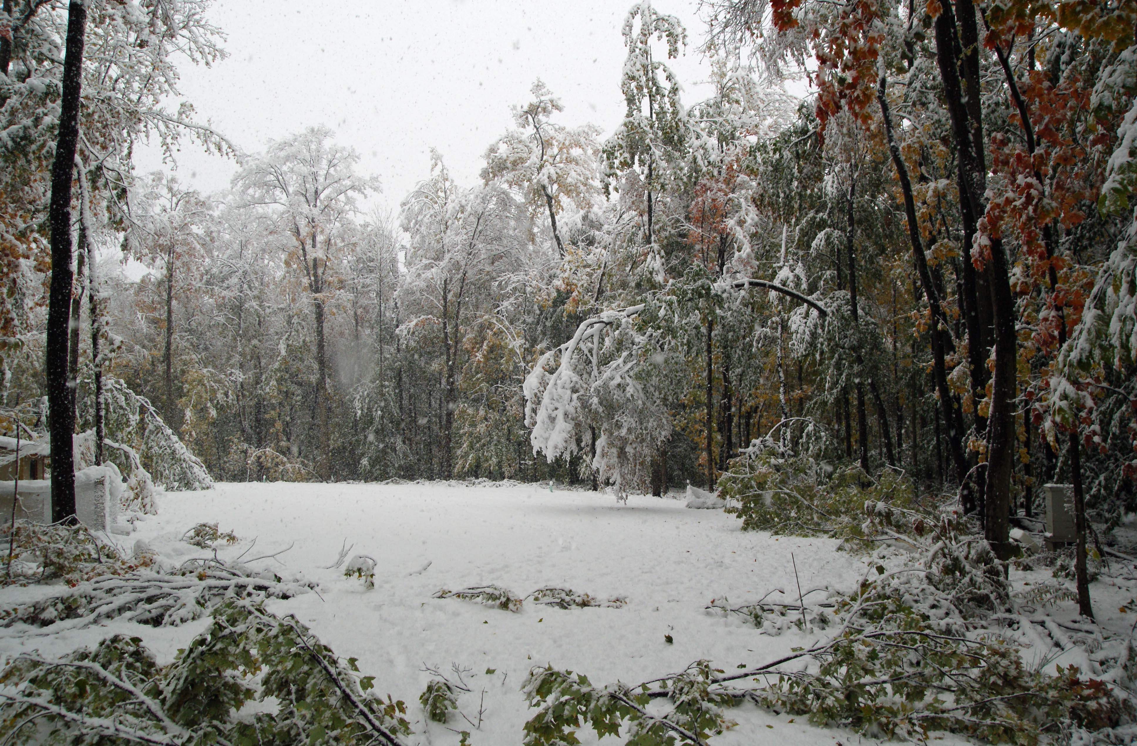Walkin’ in a winter wonderland
