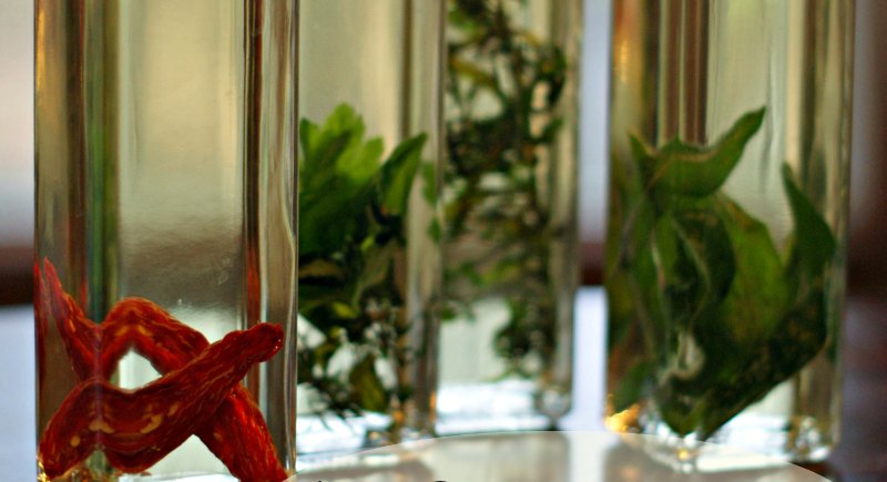 Herb-infused oil
