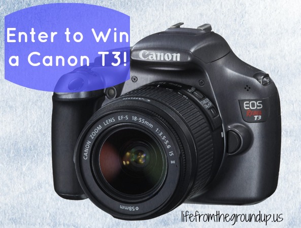 Canon T3 Giveaway