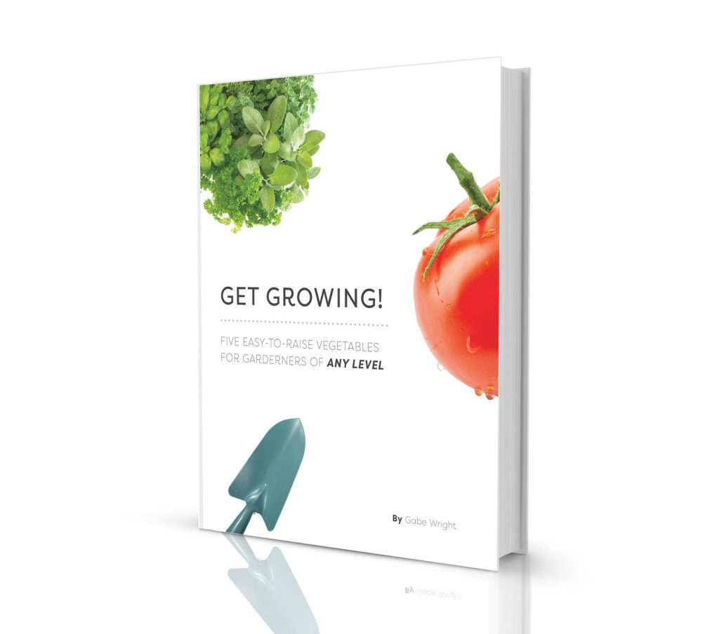 Get Growing: Five Easy-to-Raise Vegetables for Gardeners of Any Level